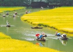 Boating in Tam Coc