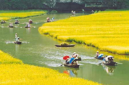 Boating in Tam Coc