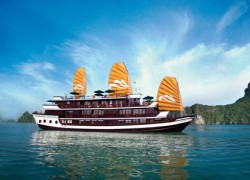 Paradise Cruise – 2 Days
