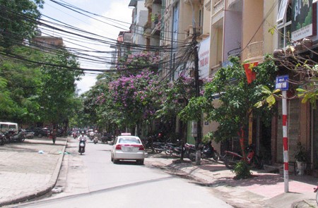 Vu Ngoc Phan Street, Dong Da District, Hanoi