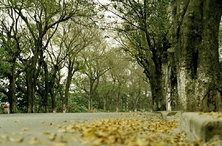 Hanoi Weather in November