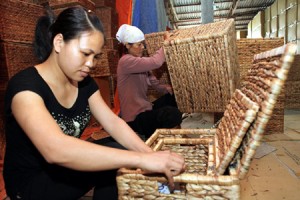 The artisans in Phu Vinh bamboo and rattan village