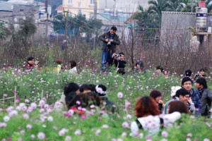 Nghi Tam Flower Village in Tet Holiday