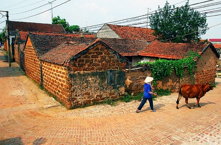 Duong Lam Ancient Village