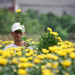 Flower village of Tay Tuu