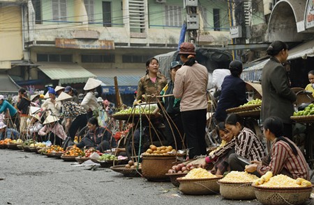 Hanoi Study Tour