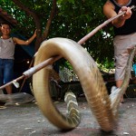 Le Mat snake Village