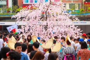 The Reintroduction of Japan Sakura Festival in Hanoi