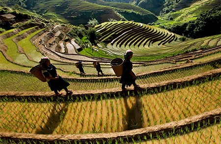 Getting Sapa from Hanoi