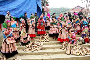 Bac Ha Market