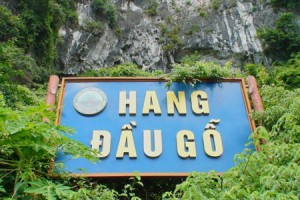 Dau Go Cave (Driftwood Cave)