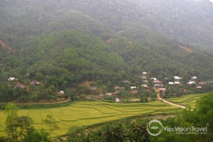 Pu Luong Nature Reserve