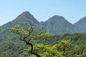 Tam Dao National Park