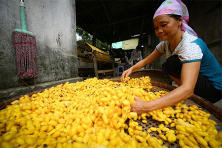 Vong Nguyet Silk Village