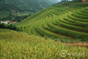 Y Linh Ho Village, Sapa