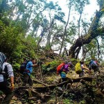 Fansipan trekking