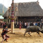 A tradition festival of ethnic community in Ngoi Tu cultural Village