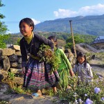 Explore the Northwest of Vietnam Tour