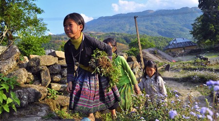 Explore the Northwest of Vietnam Tour