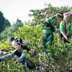 Hanoi Yen Bai Tour