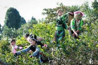 Hanoi Yen Bai Tour