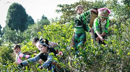Hanoi Yen Bai Tour