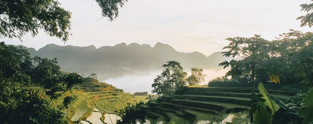 Pu Luong Natural Reserve