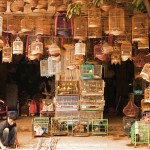 Bird cage making house in Hanoi Old Quarter