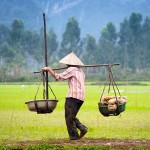 Hanoi - Mai Chau - Pu Luong - Tam Coc Tour