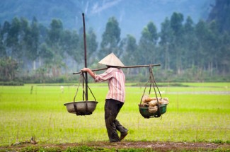Hanoi - Mai Chau - Pu Luong - Tam Coc Tour