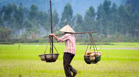 Hanoi - Mai Chau - Pu Luong - Tam Coc Tour