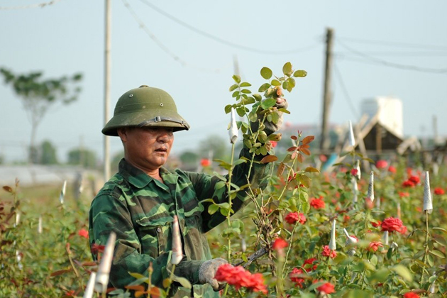 Tay Tuu Flower Village