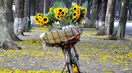 5 Romantic Streets in Autumn of Hanoi