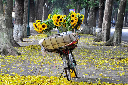 5 Romantic Streets in Autumn of Hanoi