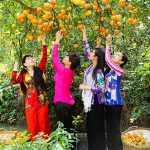 The Beauty of Southwest Vietnam