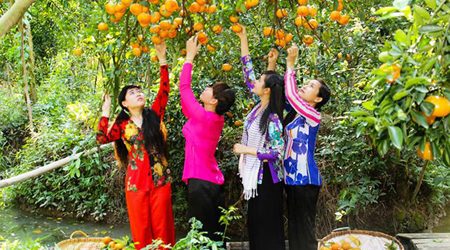 The Beauty of Southwest Vietnam
