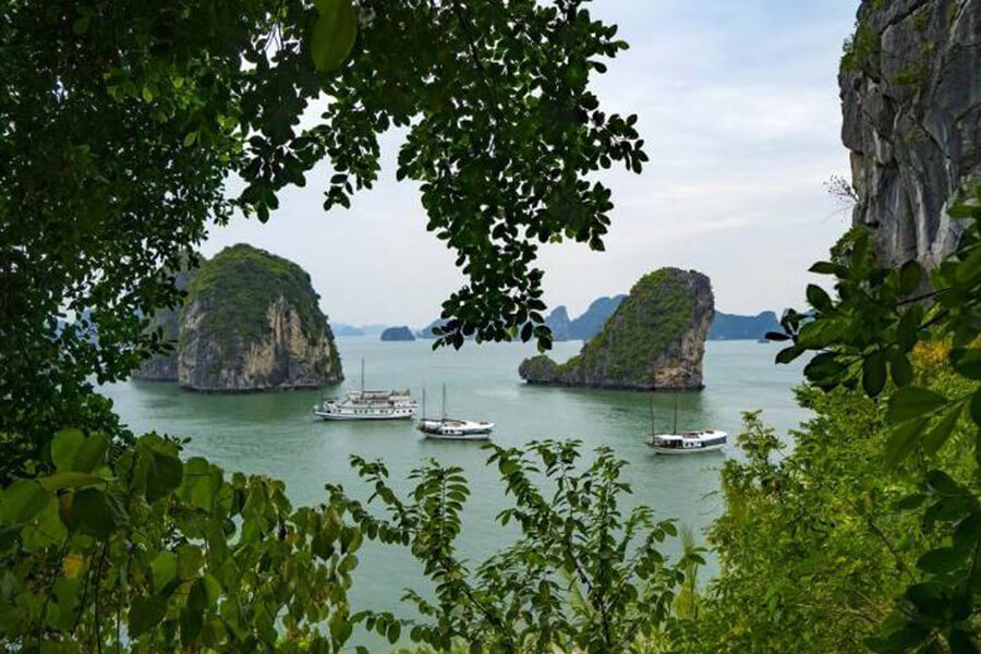 Ha Long Tour - Hanoi tour packages