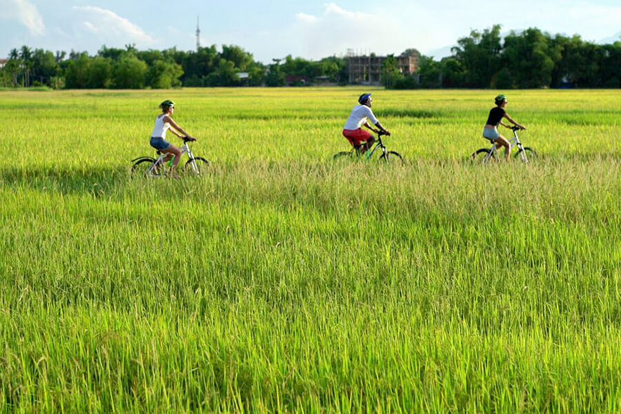 Hanoi village - Hanoi tours