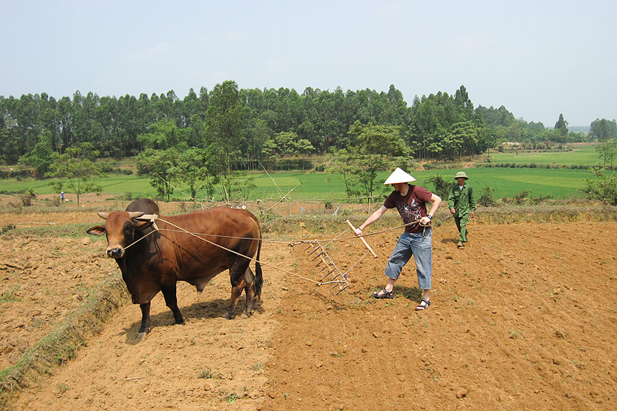 Ky Son village - Hanoi Tours