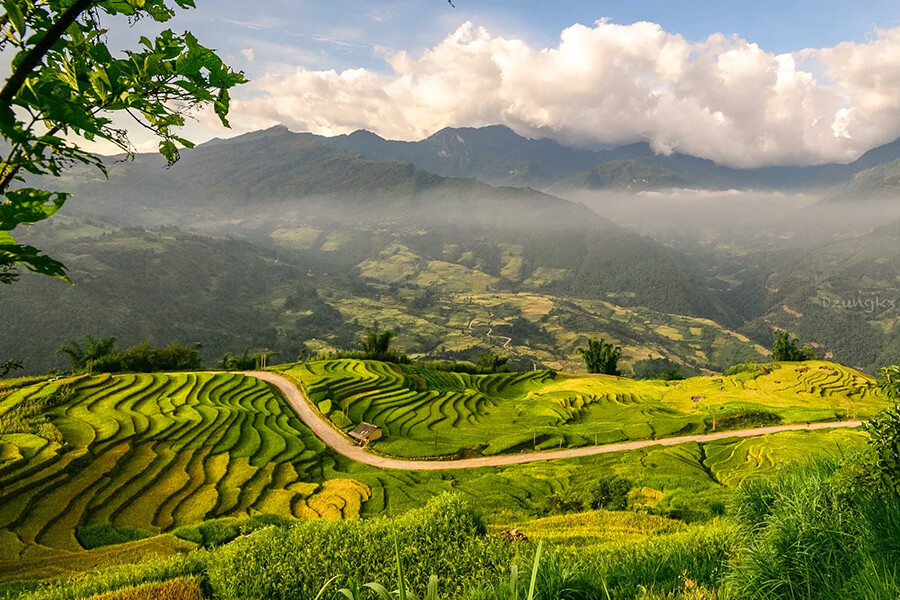 Pu Luong Natural - Hanoi Tours