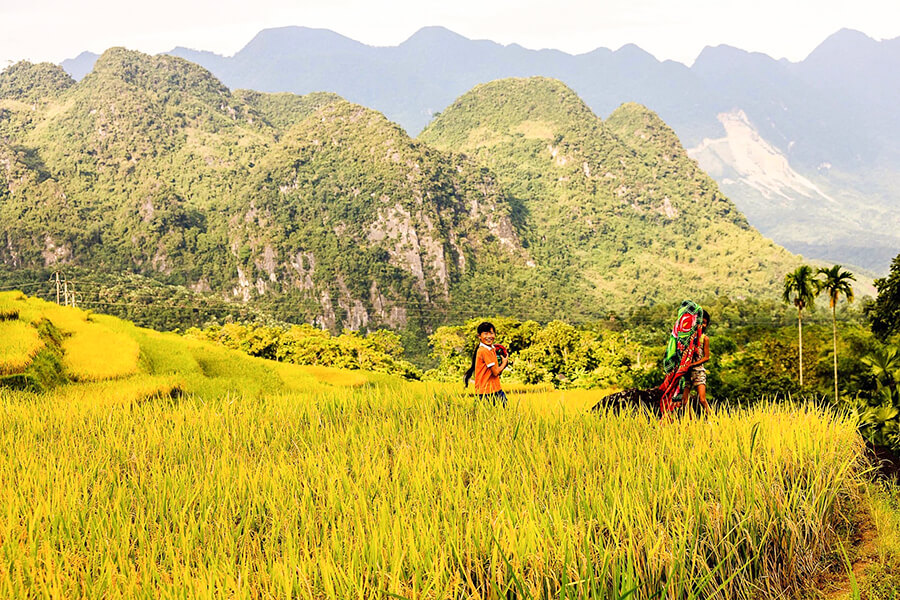 Pu Luong Nature Reserve - Hanoi Tours