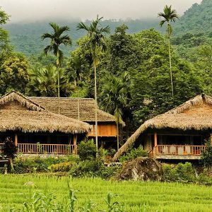 Pu Luong Reserve - Hanoi Tours