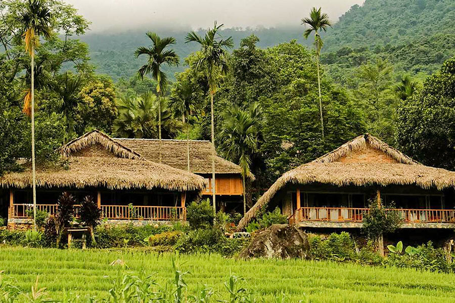 Pu Luong Reserve - Hanoi Tours