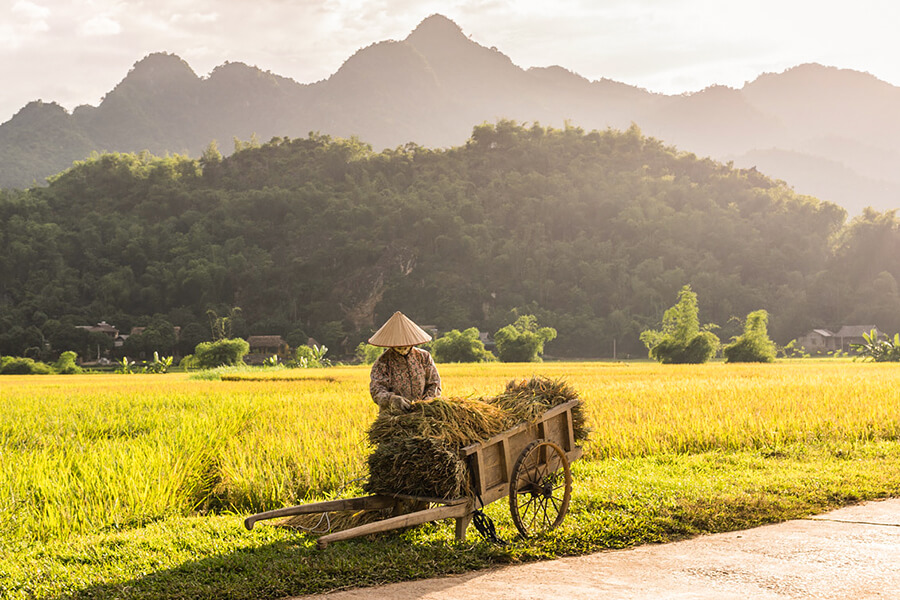 Rural village in Hanoi - Hanoi day trip