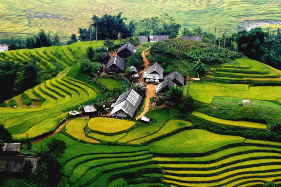 Sapa Homestay Tours - My Hanoi Tours