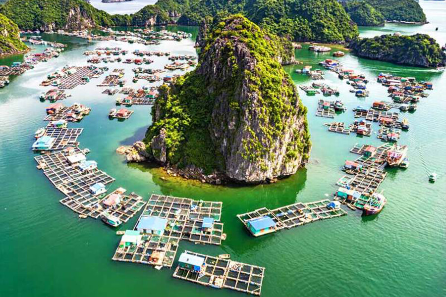 Travel to Ha Long