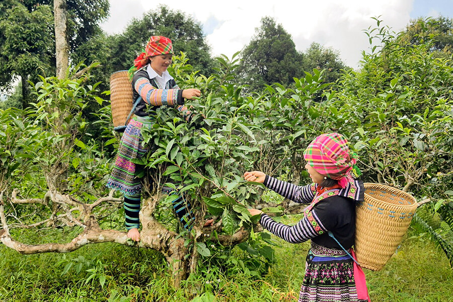 Yen Bai Province - My Hanoi Tours