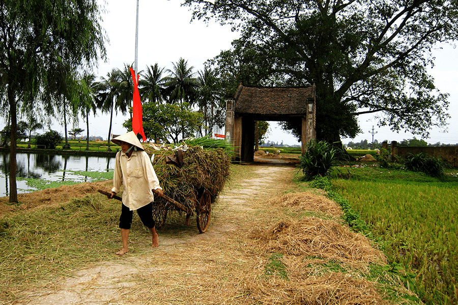 Ky Son Village - Hanoi tour