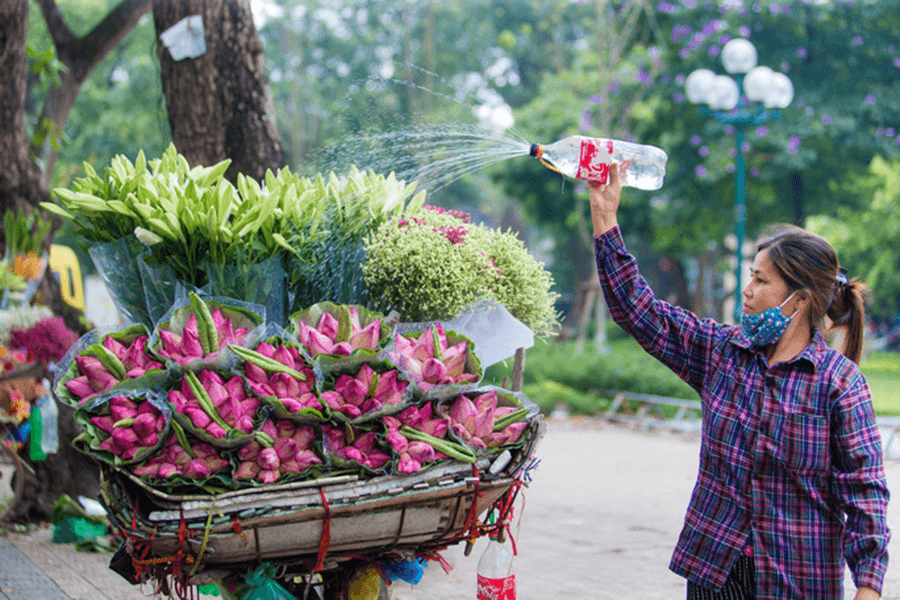 Hanoi Hidden Treasure - Hanoi tour