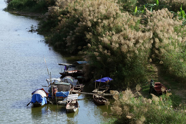 Beauty of Long Bien Bridge